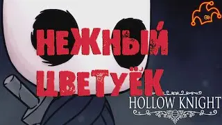 ✦Hollow Knight✦  (Нежный цветок).