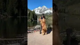 My dog saved me. 