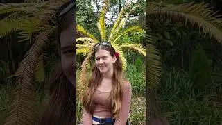 a quick look around The Royal Botanical Gardens in Melbourne Australia 🇦🇺  🌳🌴🌼🌸🌻🌹🏵 in April (Autumn)