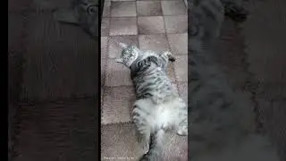 И снова о погоде 🥵 