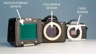 Full Frame Vs Crop Sensor & Crop Factor Explain