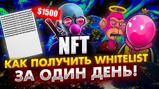 Whitelist NFT за один день ❗️|  Как получить Whitelist быстро ❗️( discord nft)