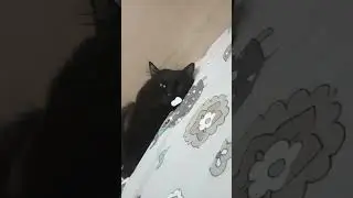 робот
