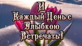 Доброе утро!Красивое пожелание#музыкальнаяоткрытка#пожелание#доброеутро#красиваяоткрытка#мило#shorts