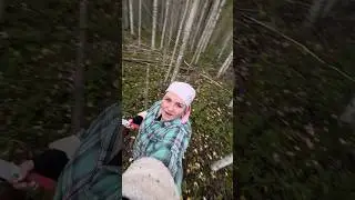 Я нашла СЫРЫЕ ГРУЗДИ