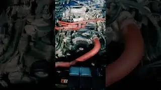 Ford Mustang V8 engine 