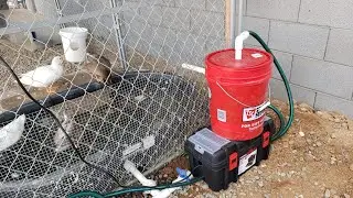 DIY 5 gallon bucket filter for 50 gallon duck pond - Part 1