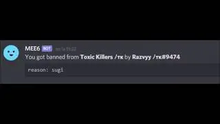 Discord Raid | 100+ messages per second |