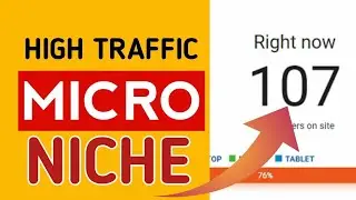 Micro niche blog | Micro niche blog topics | Micro niche 2021