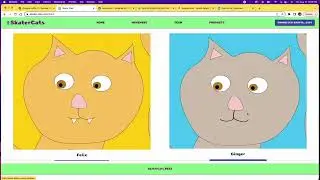 Polygon BUIDL IT Summer 2022 Submission: Skater Cats