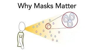 Why Masks Matter: COVID-19