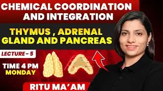 Thymus , Adrenal Gland and Lecture 5 | Chemical Coordination and Integration| Ritu Rattewal