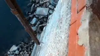 Косяк на косяке