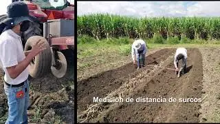 Canterizaciòn