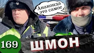 Шмон на дороге / Борзые ДПС обыскивают машину Адвоката