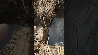 продолжение нашей работы просто жуть!!