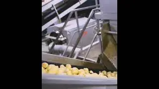 Как делают картошку фри в Макдональдсе? 🍔🍟🍦Завод Макдональдс. Большое видео на канале. 