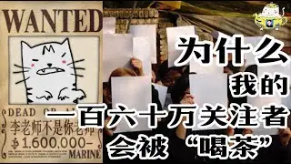 为什么我推特上的160万关注者会被喝茶？
