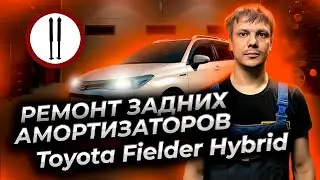 Ремонт задних амортизаторов Тойота Филдер гибрид.