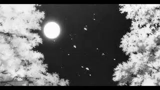 Sarah Blasko - All I Want [Slowed Reverb]