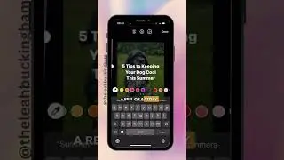 New Instagram Feature - How to Add Text to Carousel Posts in the Instagram App