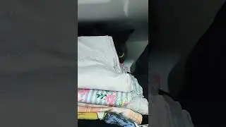 Sondaki bakış 😍 #youtube #subscribe #tiktok #newvideo #funny #reels #video #cat #cute #shorts #short