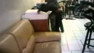 Africans fighting in hair salon in Jersey City