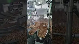 32 multihead weighing filling nuts machine ready for testing