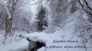 Деревня Межно, у родника, конец января...