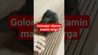 Golongan yang dijamin masuk surga #ustadzadihidayatofficial #selfreminder #uah #motivasi #quotes