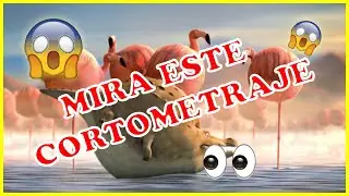 Videos De ANIMALES OBESOS 2021 🧨😱- Cortometraje Animado De Animales Gordos