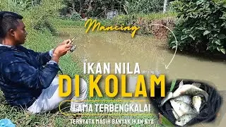 Mancing ikan nila di kolam yang lama terbengkalai