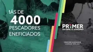 PESCA PRIMER INFORME AMC