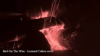 Bird On The Wire - Leonard Cohen Cover