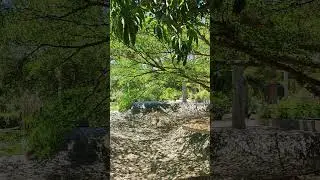 Любовь Евгения Кунгурова с нами 
