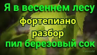 Уроки игры. Фортепиано. Песня "Я в весеннем лесу пил березовый сок"