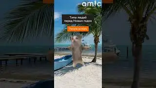 Перед новогодними праздниками люди делятся на очень много типов🤓