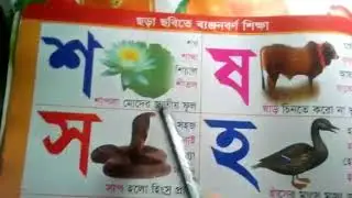Let's Learn the bangla Banjon borna - preschool learning