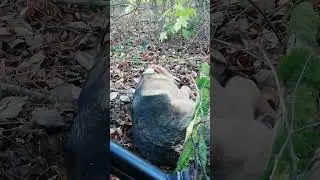 Я Устала..!