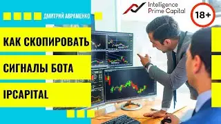 Как скопировать сигналы бота IPCapital (INTELLIGENCE PRIME CAPITAL). Мнение трейдеров о боте.