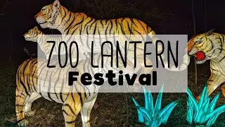 Lantern Festival at John Ball Zoo and Tap Class at the Civic Theater | WEEKEND VLOG