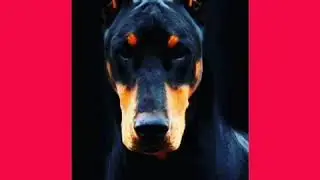 Честный желаю солнца♠️