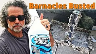 Cleaning Barnacles While Dry Docked is Extremely Satisfying