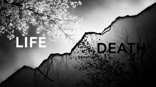 Life and Death 4K Wallpaper & Screensaver | Black and White Minimalist Background (No Sound)