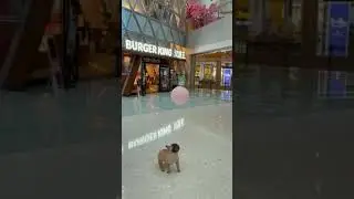 Это мой шарик!