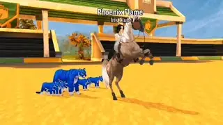 Discord Edit | Horse Riding Tales