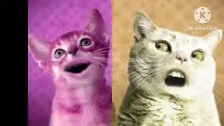 Numb Cat In Mari Group Split group  Group