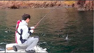 Hooked a Sea Lion on my ISO ROD??