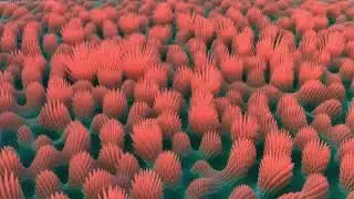SideFX Houdini - Interference driving polyextrude