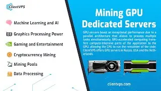 Dedicated servers with graphics cards - GPU Servers